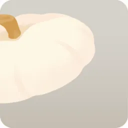 かぼちゃのふた・白