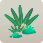 原生林の植物たち