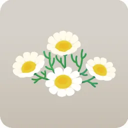 カモミール