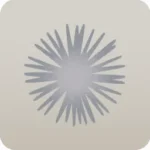 落ちた綿毛