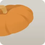 かぼちゃのふた・オレンジ