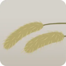 ねこじゃらし