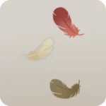 庭に落ちた小鳥の羽根