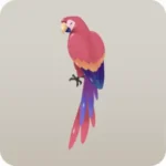コンゴウインコのフィギュア