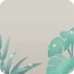 サンルームの観葉植物