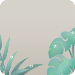 サンルームの観葉植物