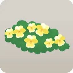 小さなビオラ