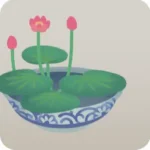 蓮の鉢