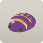 なす炒めルリセンチコガネ