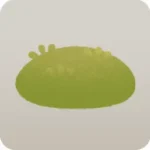 小さな苔