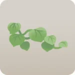 緑に這うつる草