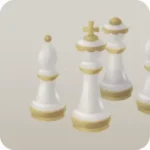 白いチェスの駒