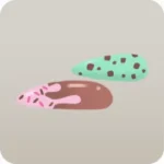 チョコネイルチップ
