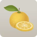 もぎたての柚子
