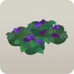微眠む森のハーブ