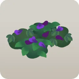 微眠む森のハーブ