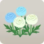 小さなラナンキュラス