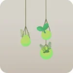 吊るされた原生林の苔たち