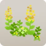 キノコの森の黄色い小花・右