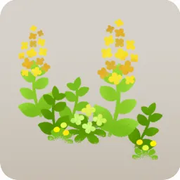 キノコの森の黄色い小花・右