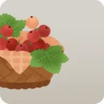 赤い果実の入ったカゴ