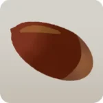 細長いどんぐり