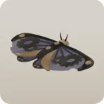 カラクリ仕掛けの蛾