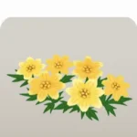 ハチミツ色の花