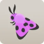 ピンクのマダラガ