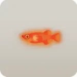 ヒメダカの幻影