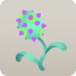 トゲフラワーのつぼみ