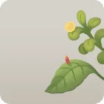 葉っぱに付いた小さな卵