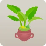 南国の植木鉢