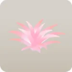 砂丘の低草・ピンク