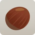 丸いどんぐり