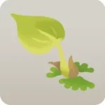 苔から芽吹いた緑