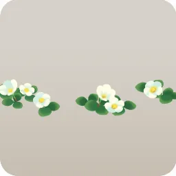 群生する白いフヨウカタバミ