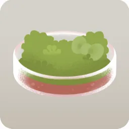 不思議な草が生えたミニシャーレ