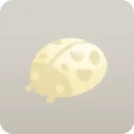テントウムシのホワイトチョコ