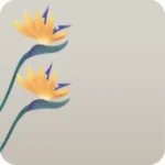 ミニチュアのストレリチアの花