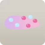 キャンディネイルチップ