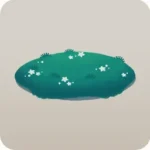 珍しい苔の茂み