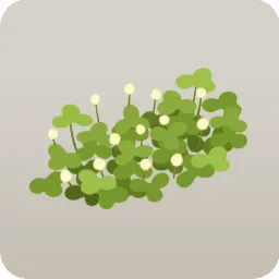 柚子の丘の雑草・右