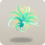 浮遊エアプランツ・右後