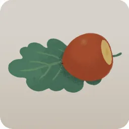 楢の葉とどんぐり