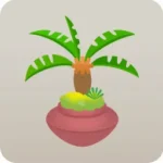 ソテツの植木鉢