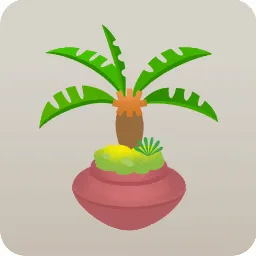 ソテツの植木鉢