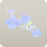 色混ざる紫陽花