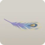 夢の鳥の羽根