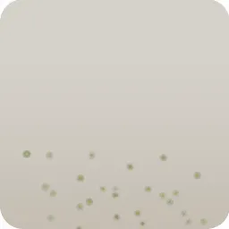 落ちた発光胞子